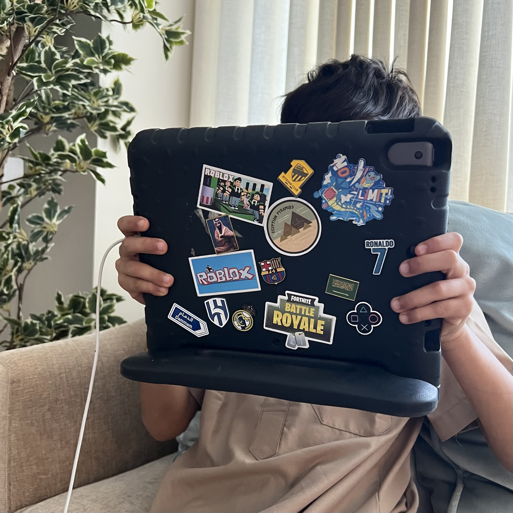 صورة المقال